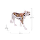 Gracious Nomadic Panther Table Top Accent
