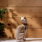 Artistic Cat Figure Decor Showpiece