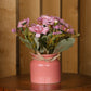 Artificial Pearl Dahlia Flower bunch, Ceramic vase Pink